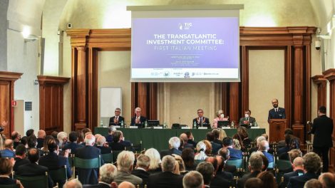 Transatlantic Investment Committee Italy